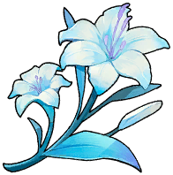 水霖花
